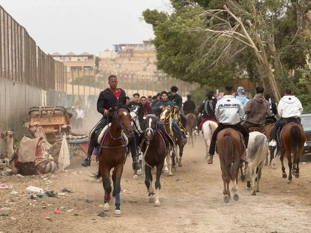 ANIMALS WITHOUT BORDERS: ALBANIA AND BEYOND