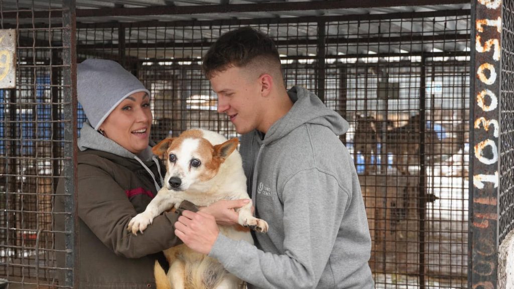 Thousands of Animals in Ukraine Saved Thanks to You