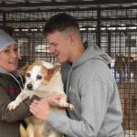 Thousands of Animals in Ukraine Saved Thanks to You